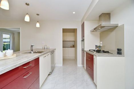 Photo of property in 47 Ruapani Street, Marshland, Christchurch, 8083