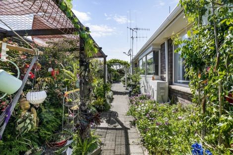 Photo of property in 13b Balmacewen Place, Mount Maunganui, 3116