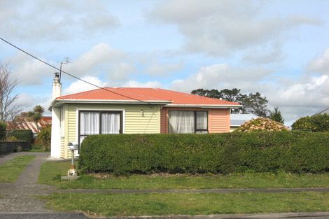 Photo of property in 139 Celia Street, Stratford, 4332