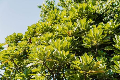 Photo of property in 111 Kaitemako Road, Welcome Bay, Tauranga, 3112