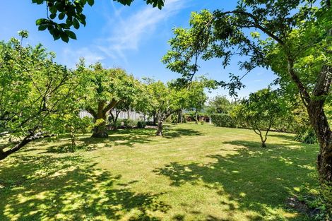 Photo of property in 5 Vivian Street, Inner Kaiti, Gisborne, 4010
