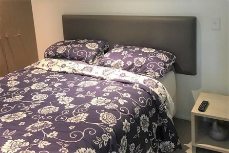 Photo of property in Forte Apartments, 54/13u College Street, Te Aro, Wellington, 6011
