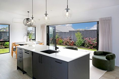 Photo of property in 31 Jonah Lomu Drive, Paerata, Pukekohe, 2124
