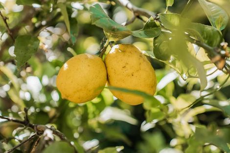 Photo of property in 111 Kaitemako Road, Welcome Bay, Tauranga, 3112