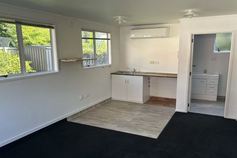 Photo of property in 111 Macfarlane Street, Hamilton East, Hamilton, 3216