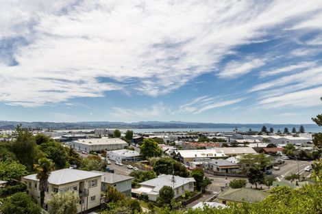 Photo of property in 8 Goldsmith Road, Hospital Hill, Napier, 4110