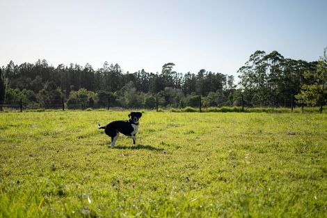 Photo of property in 14 Lone Gum Lane, Kerikeri, 0230