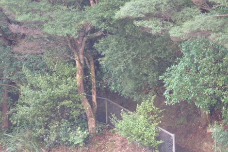 Photo of property in 447 Titirangi Road, Titirangi, Auckland, 0604