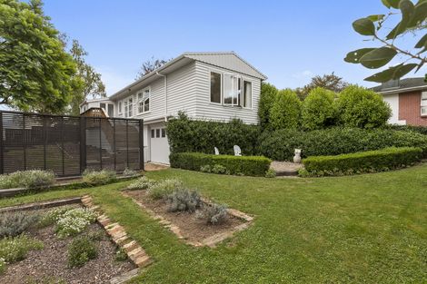 Photo of property in 85 Moore Street, Leamington, Cambridge, 3432