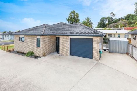 Photo of property in 302a Heale Street, Thames, 3500