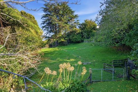 Photo of property in 17a Barclay Street, Ferndale, New Plymouth, 4310