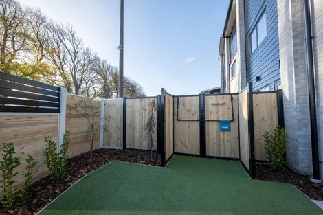 Photo of property in 1/58 Bishop Street, St Albans, Christchurch, 8014