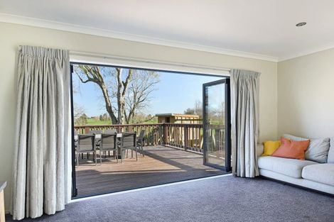 Photo of property in 292 Storey Road, Te Awamutu, 3879