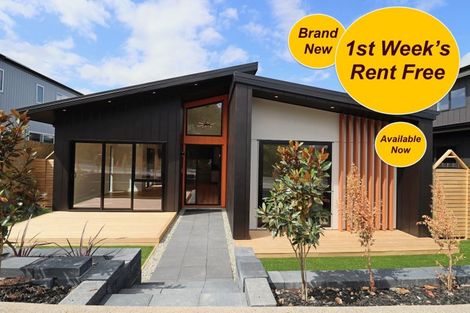 Photo of property in 236 Park Estate Road, Rosehill, Papakura, 2113