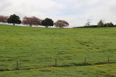 Photo of property in 35 Grove Access Road, Karamu, Hamilton, 3285