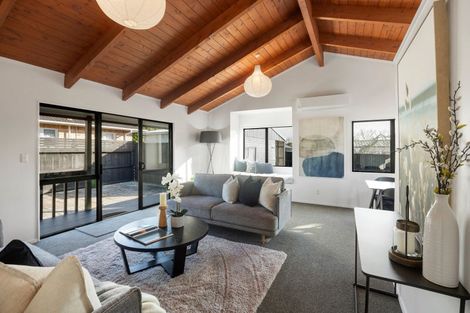 Photo of property in 8b Nelson Street, Hamilton East, Hamilton, 3216