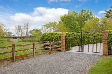 Photo of property in 160 Tower Road, Matamata, 3471