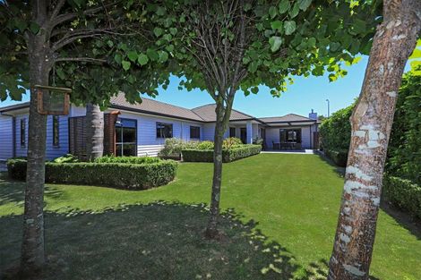 Photo of property in 6 Lardon Place, Frimley, Hastings, 4120