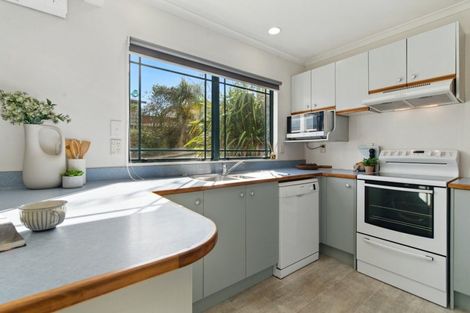 Photo of property in 33 Collingwood Street, Judea, Tauranga, 3110