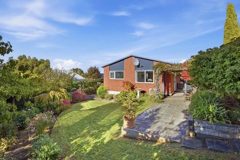 Photo of property in 72 Puketai Street, Andersons Bay, Dunedin, 9013