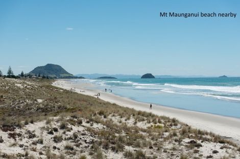 Photo of property in 40 Maunganui Road, Mount Maunganui, 3116