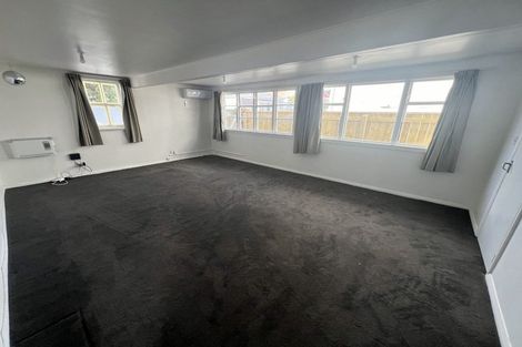 Photo of property in 101 Daniell Street, Newtown, Wellington, 6021