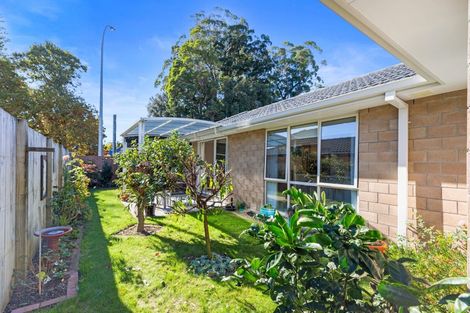 Photo of property in 27 Allington Place, Bethlehem, Tauranga, 3110