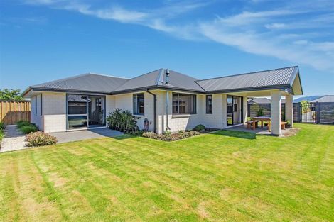 Photo of property in 8 Rosewood Drive, Amberley, 7410