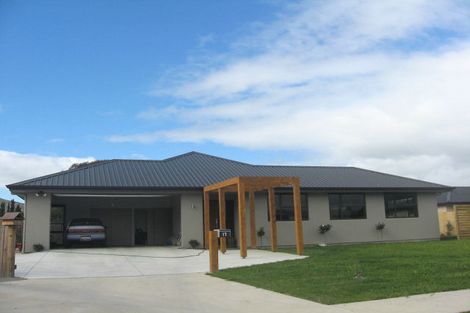 Photo of property in 17 Hilton Place, Blenheim, 7201