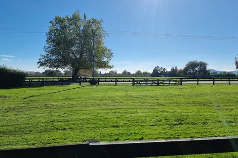 Photo of property in 161 Hautapu Road, Pukemoremore, Cambridge, 3493