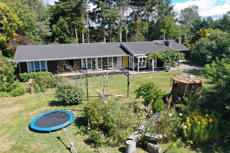 Photo of property in 414 Rakaiatai Road, Ormondville, Dannevirke, 4977
