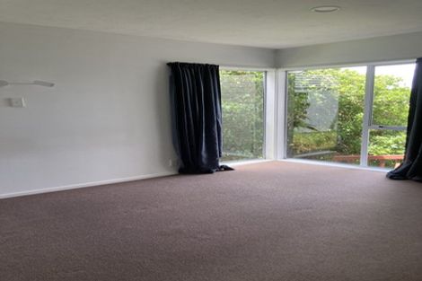 Photo of property in 44 Bedford Street, Northland, Wellington, 6012
