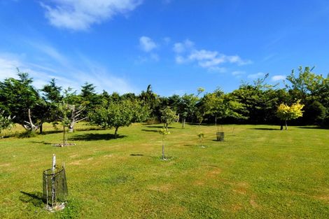 Photo of property in 71d Alma Road, Westport, 7892