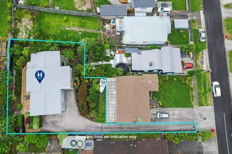 Photo of property in 110 Sandes Street, Thames, 3500