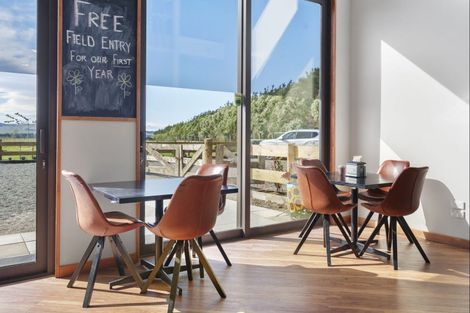 Photo of property in 246 Georges Road, Glasnevin, Amberley, 7482