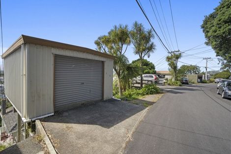 Photo of property in 43 Rakau Road, Hataitai, Wellington, 6021