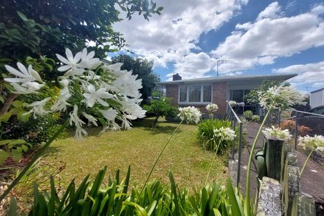 Photo of property in 53 Cook Street, Hamilton East, Hamilton, 3216