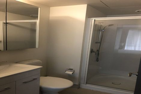 Photo of property in Dual Apartments, 301/142u Vivian Street, Te Aro, Wellington, 6011