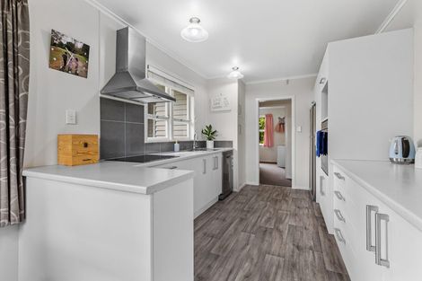 Photo of property in 19 Kelkirk Street, Kelston, Auckland, 0602