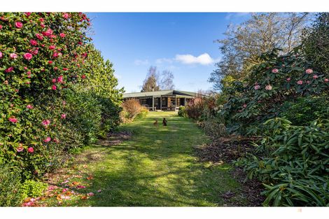 Photo of property in 260 Downs Road, Geraldine Downs, Geraldine, 7991