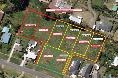 Photo of property in 13a Reeve Street, Foxton, 4814