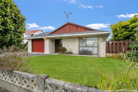 Photo of property in 250-252 Albert Street, Hokowhitu, Palmerston North, 4410