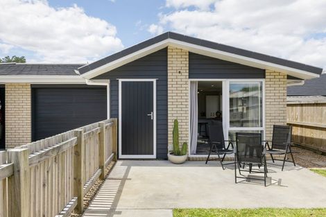 Photo of property in 3u2 Paul Crescent, Fairfield, Hamilton, 3214