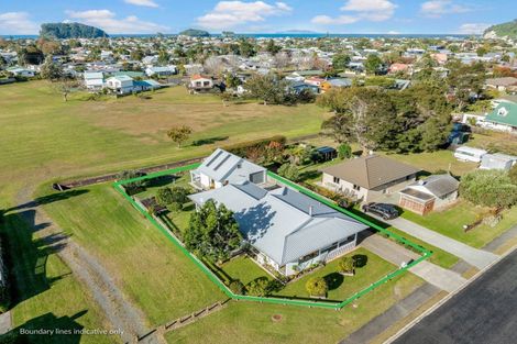 Photo of property in 116 Park Avenue, Whangamata, 3620