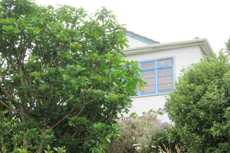 Photo of property in 109 Mornington Road, Brooklyn, Wellington, 6021