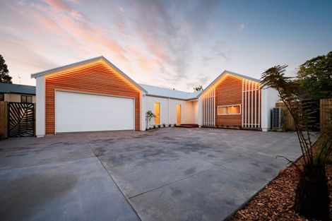 Photo of property in 42c Batt Street, West End, Palmerston North, 4410