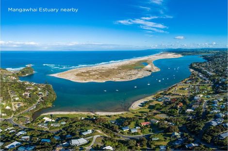 Photo of property in 238 Te Arai Point Road, Te Arai, Wellsford, 0975