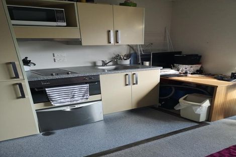 Photo of property in Dual Apartments, 108/142u Vivian Street, Te Aro, Wellington, 6011