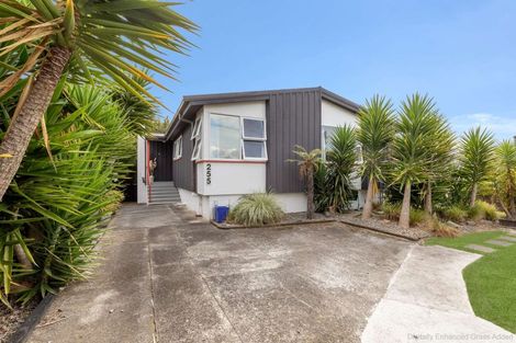 Photo of property in 255 Cambridge Street, Levin, 5510