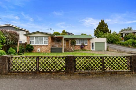 Photo of property in 157 Mahoe Street, Melville, Hamilton, 3206